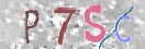 CAPTCHA (Şahıs Denetim Kodu) Resmi