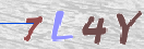 CAPTCHA (Şahıs Denetim Kodu) Resmi