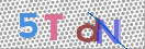 CAPTCHA (Şahıs Denetim Kodu) Resmi