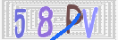 CAPTCHA (Şahıs Denetim Kodu) Resmi