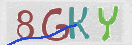 CAPTCHA (Şahıs Denetim Kodu) Resmi